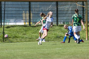 Bild 166 - wBJ Hamburger SV - VfL Wolfsburg : Ergebnis: 5:1